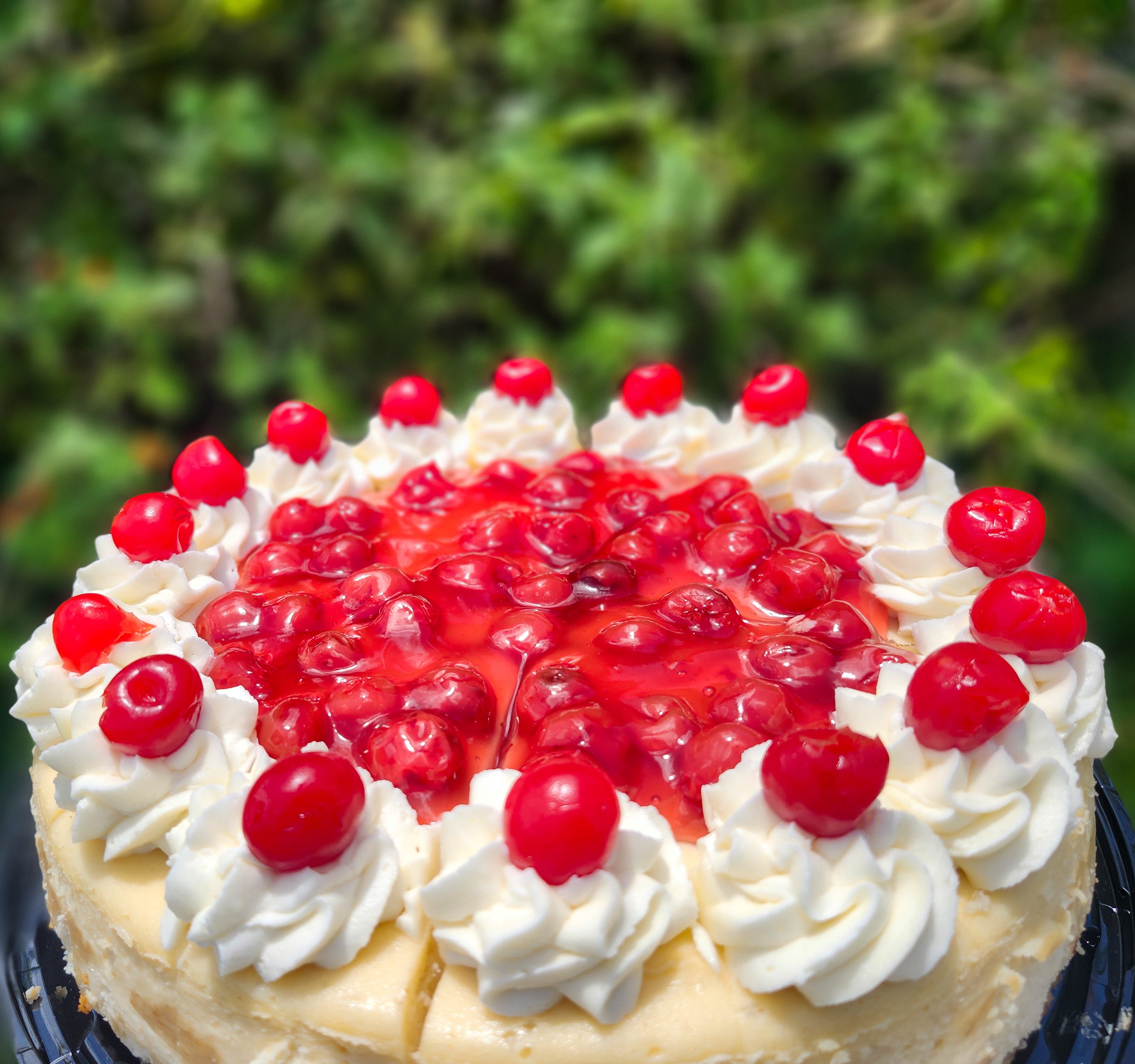 Cherry Cheesecake