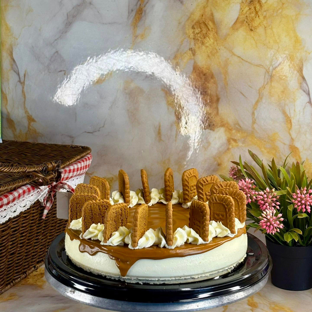 Biscoff Cheesecake